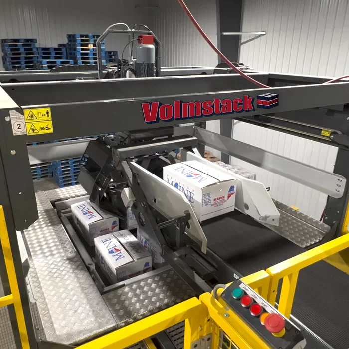 conventional box palletizers