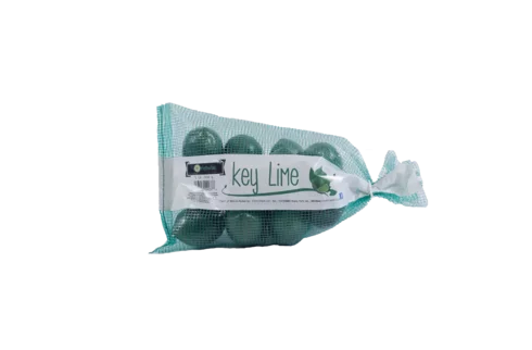 limes in tube style mesh bag
