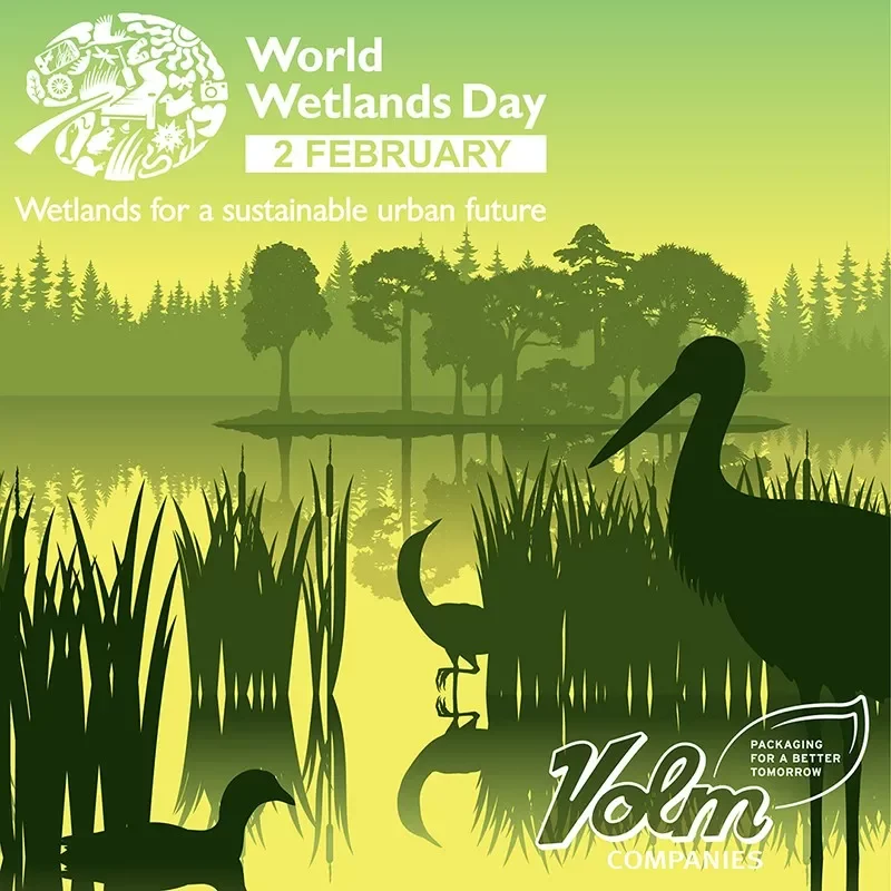 World Wetlands Day